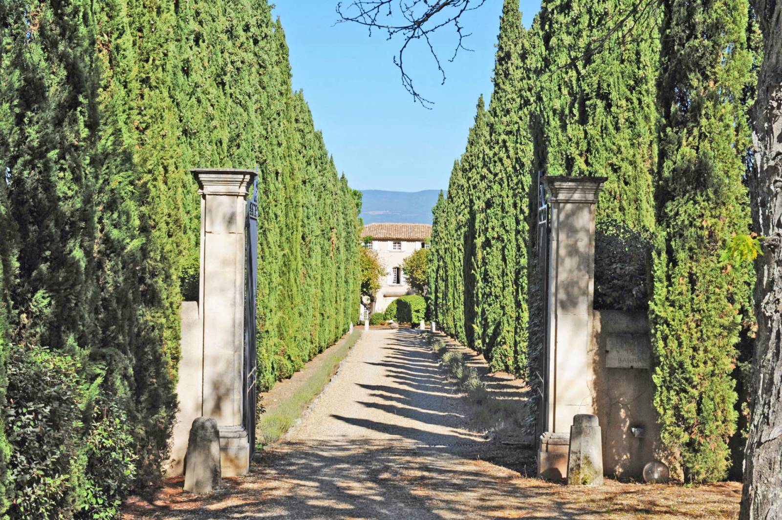 L'entrée vers la bastide provençale est bordé de haies d'arbres