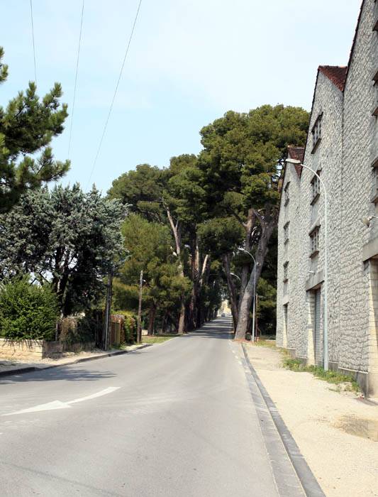 Guide des lieux touristiques à visiter avec les incontournables pour une expérience culturelle à ne pas manquer dans le Parc Naturel Régional du Luberon