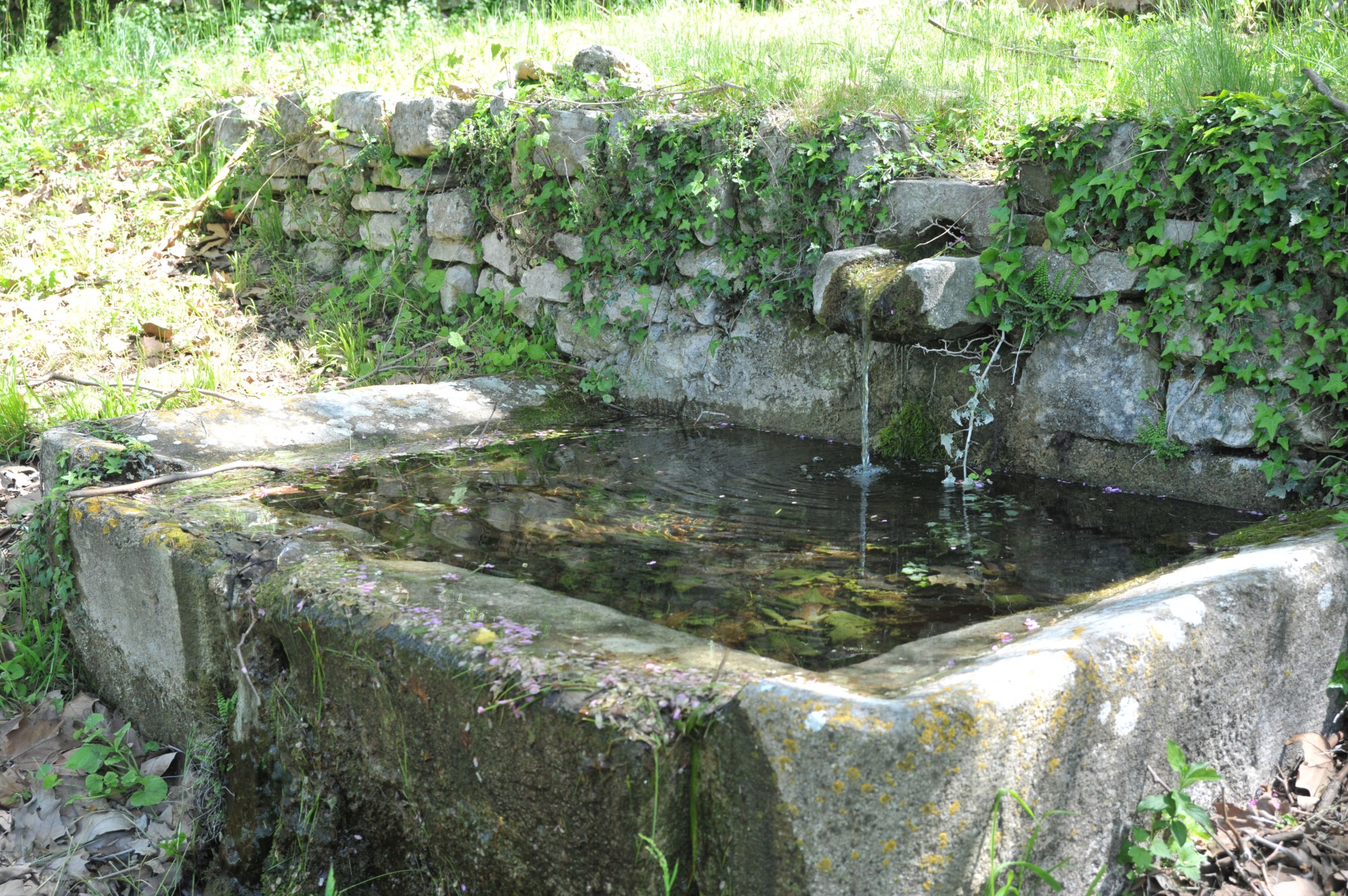 Certaines fontaines sont rustiques, discrètes, belles par leur simplicité