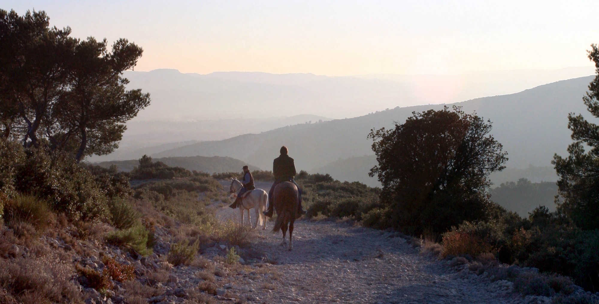 Cavaliers en Luberon