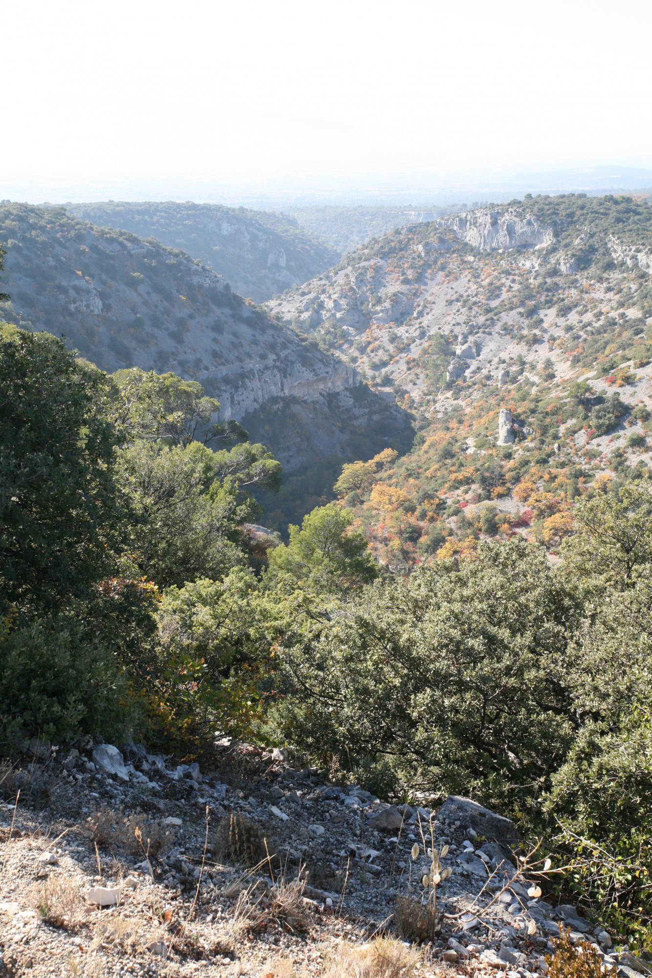 Détail de la géologie du massif du Luberon