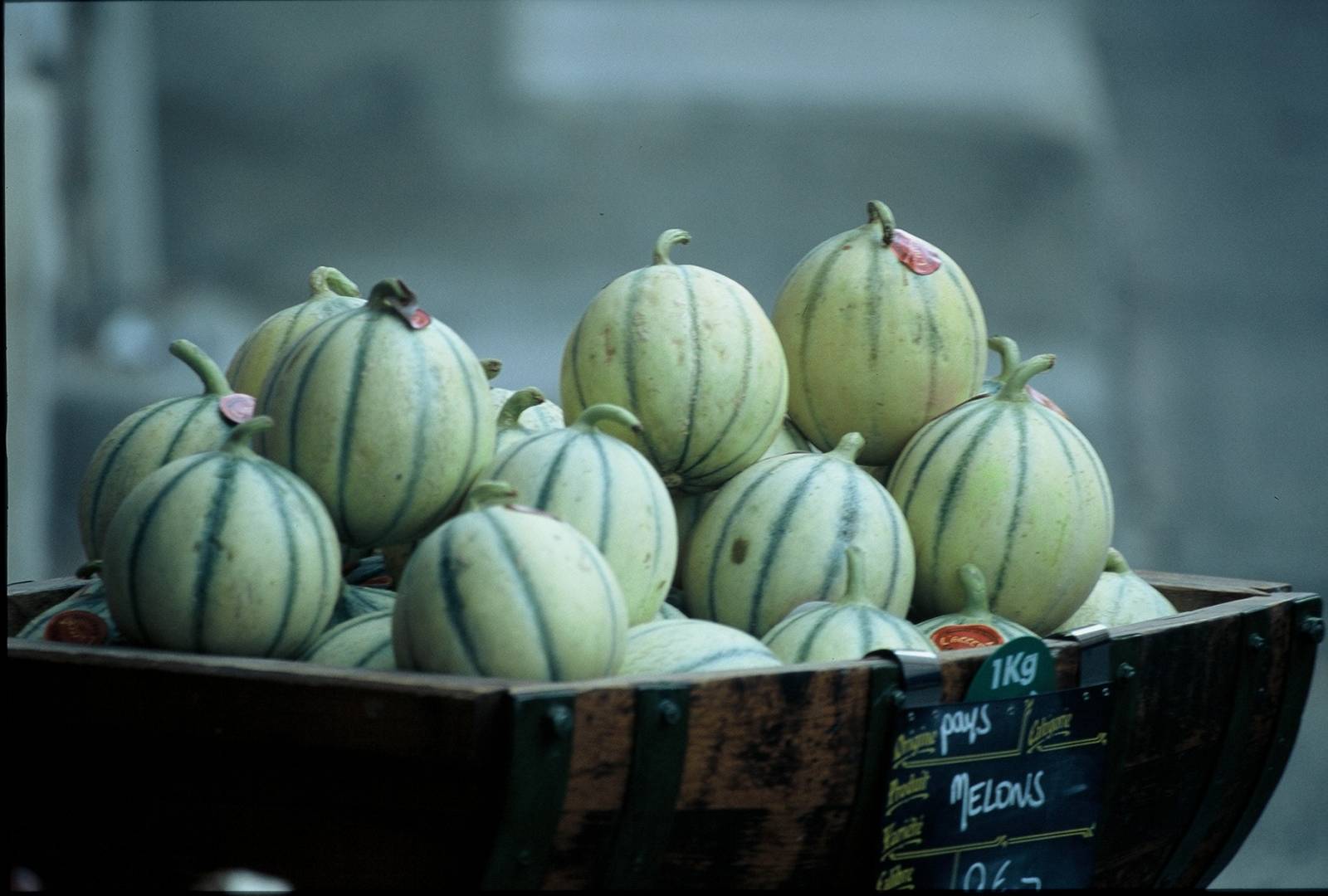Le melon, fruit de la Provence