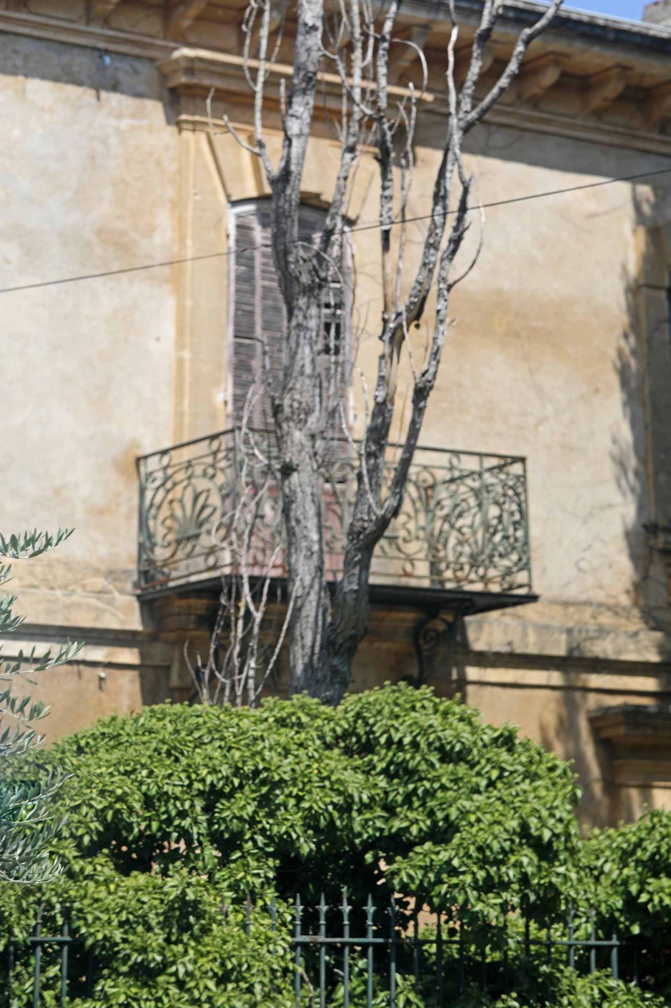 Villes-sur-Auzon, au pied du mont Ventoux, dans la plaine de Carpentras