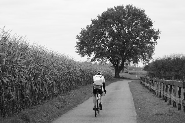 La Provence à Bicyclette