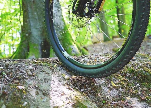 Mountain bike Luberon - vtt