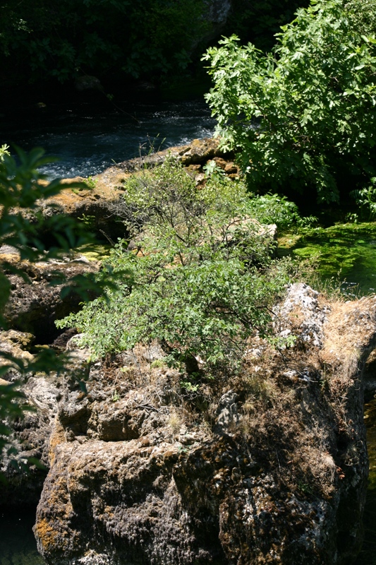 la source de Fontaine de Vaucluse