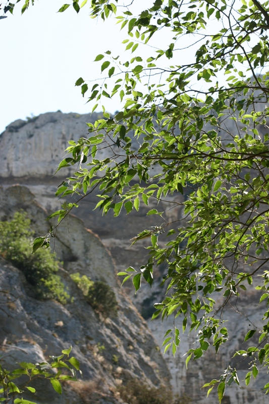 la Fontaine de Vaucluse