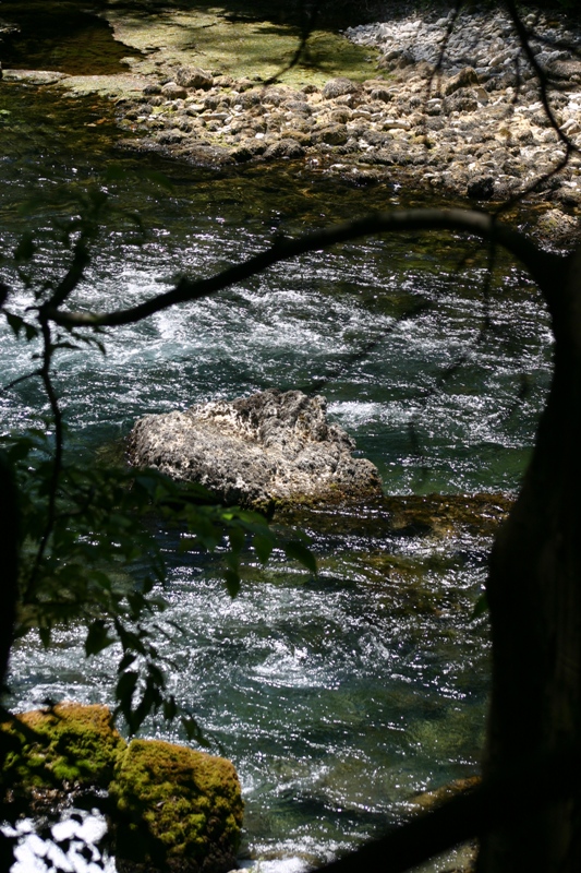 Le poète PETRARQUE et la Fontaine de Vaucluse