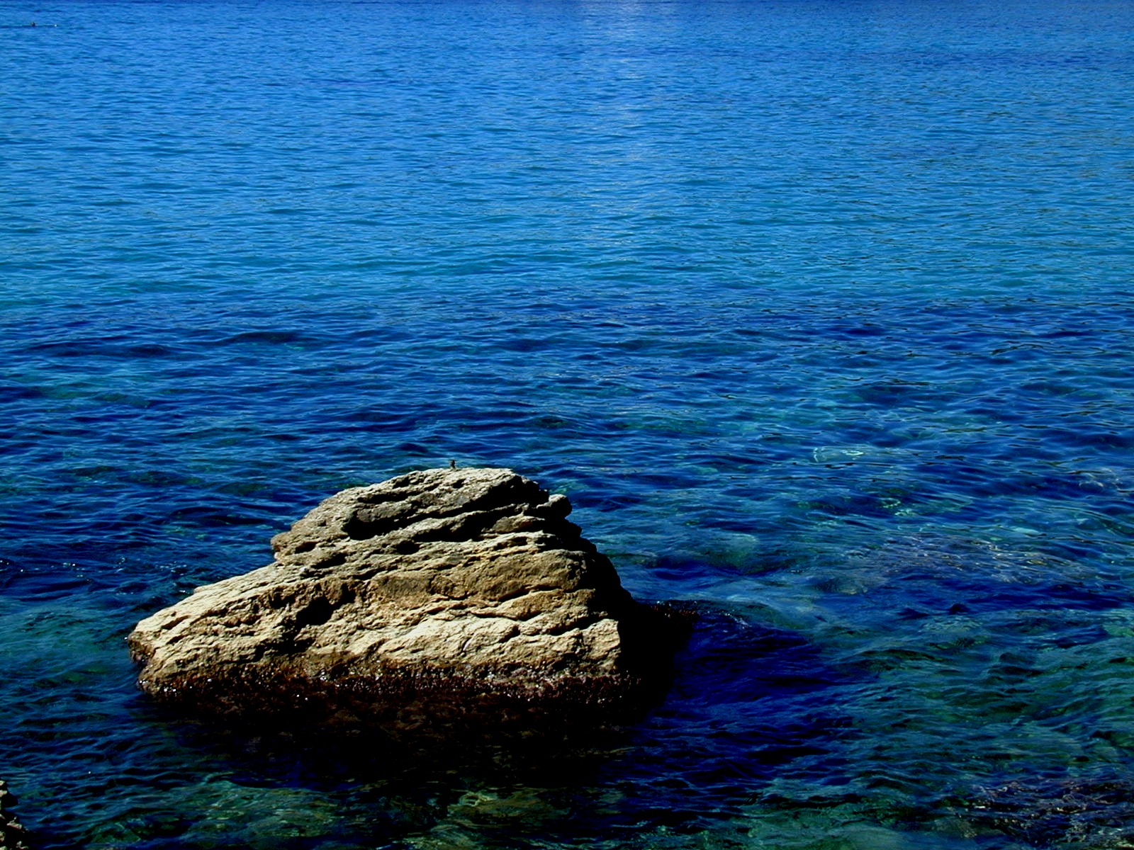 Visite des calanques de Marseille et Cassis