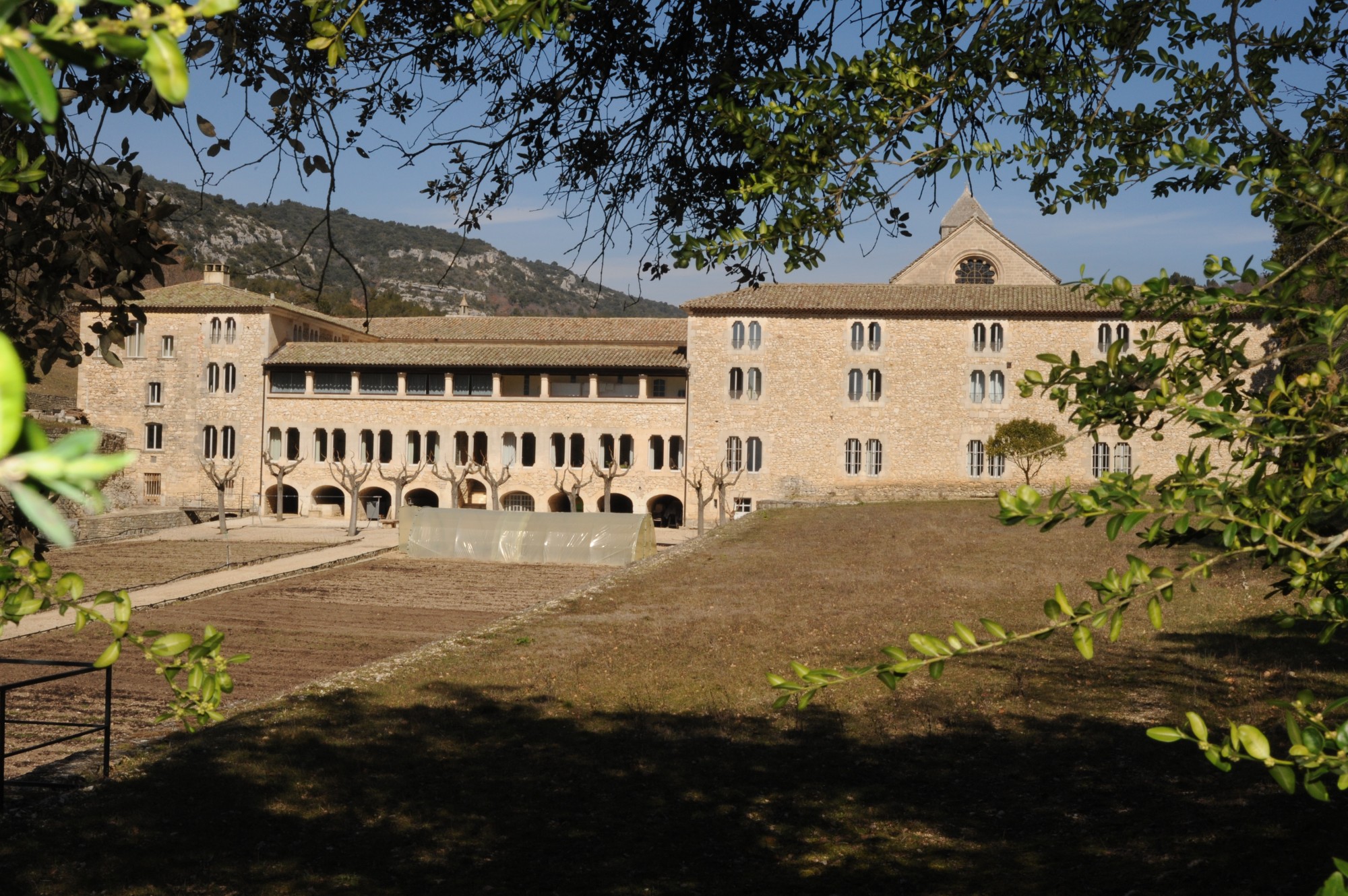 monastère cistercien Notre-Dame de Sénanque
