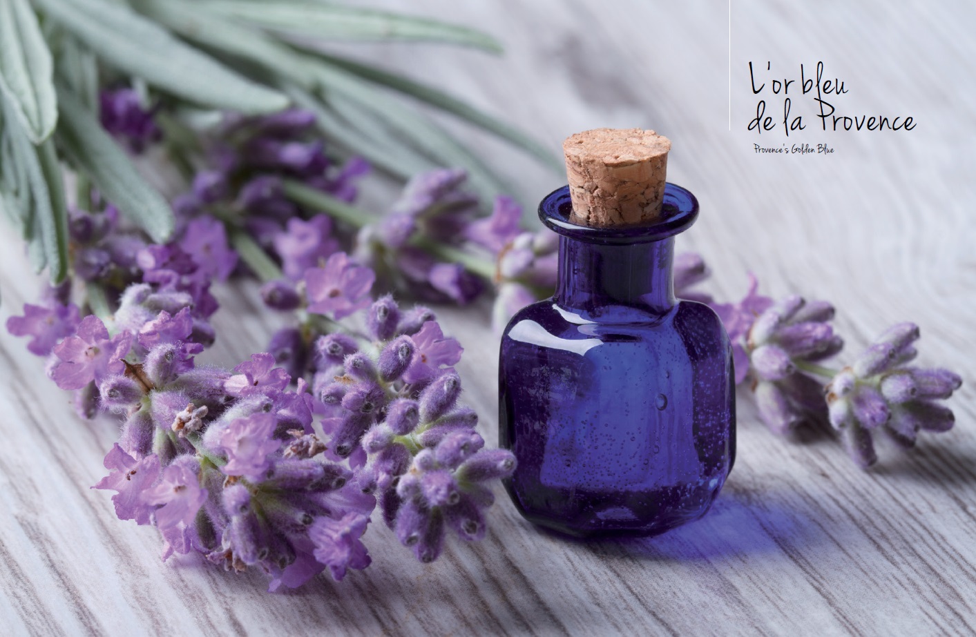 La lavande produit de Provence
