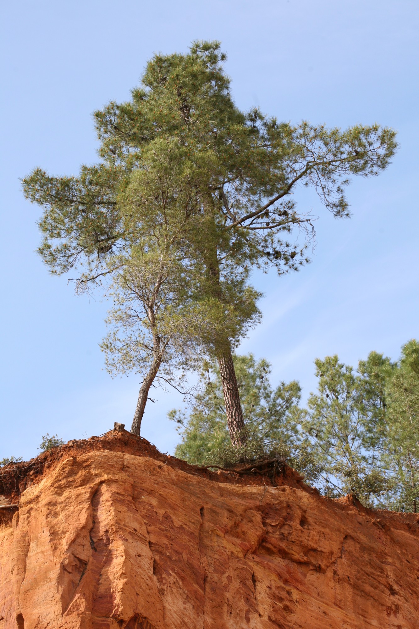 Les ocres du Luberon