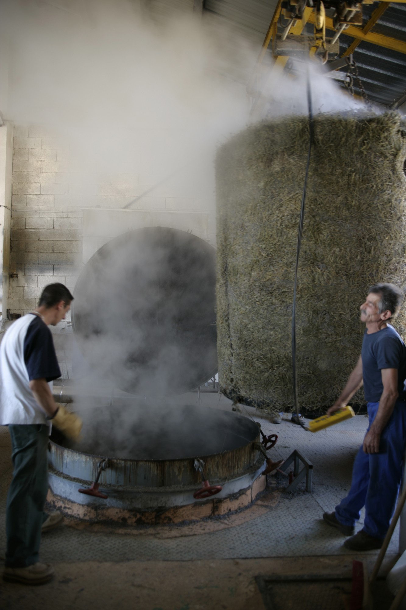 Extraction de Lavande
