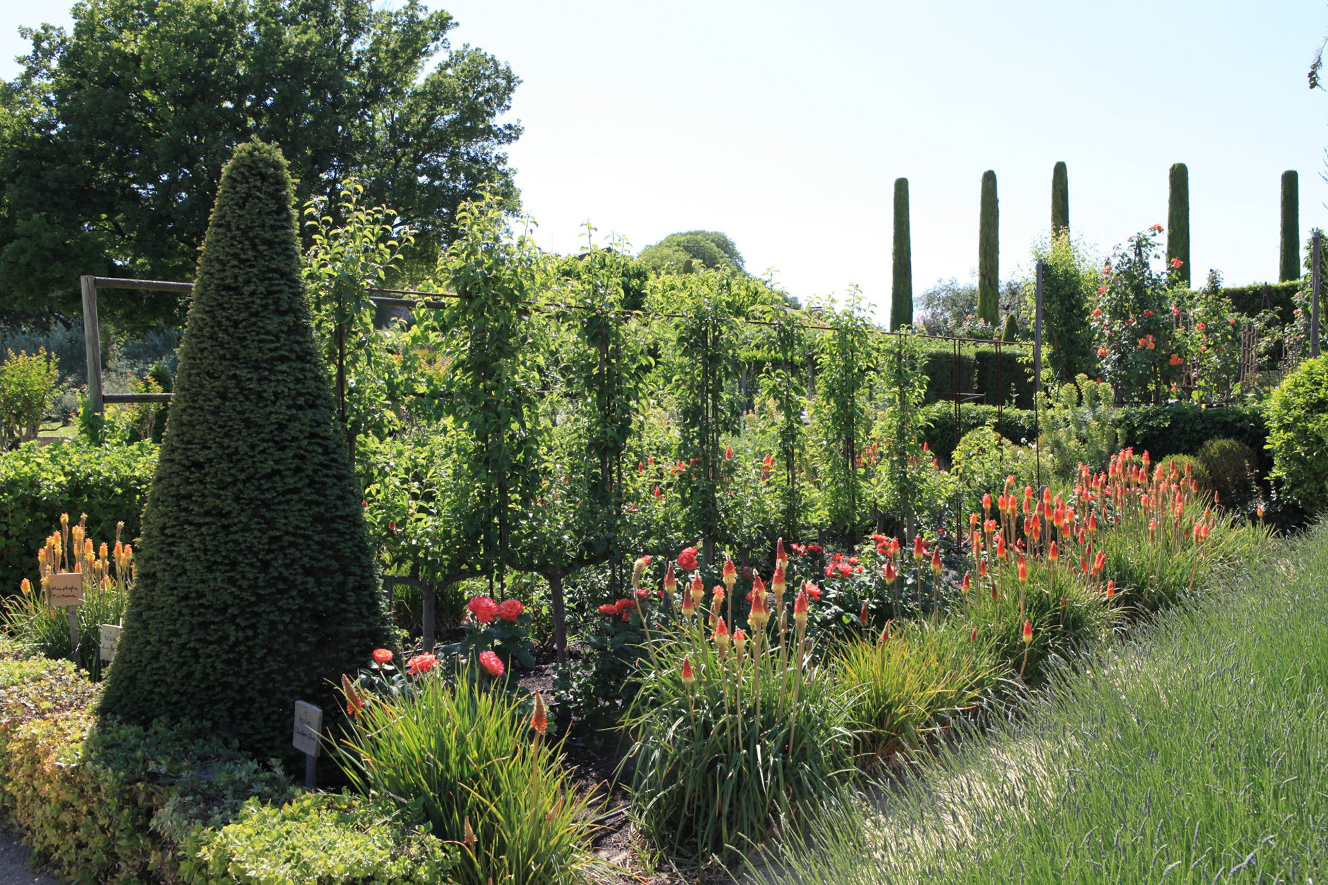 Les jardins du Château de Val Joanis Sud Luberon