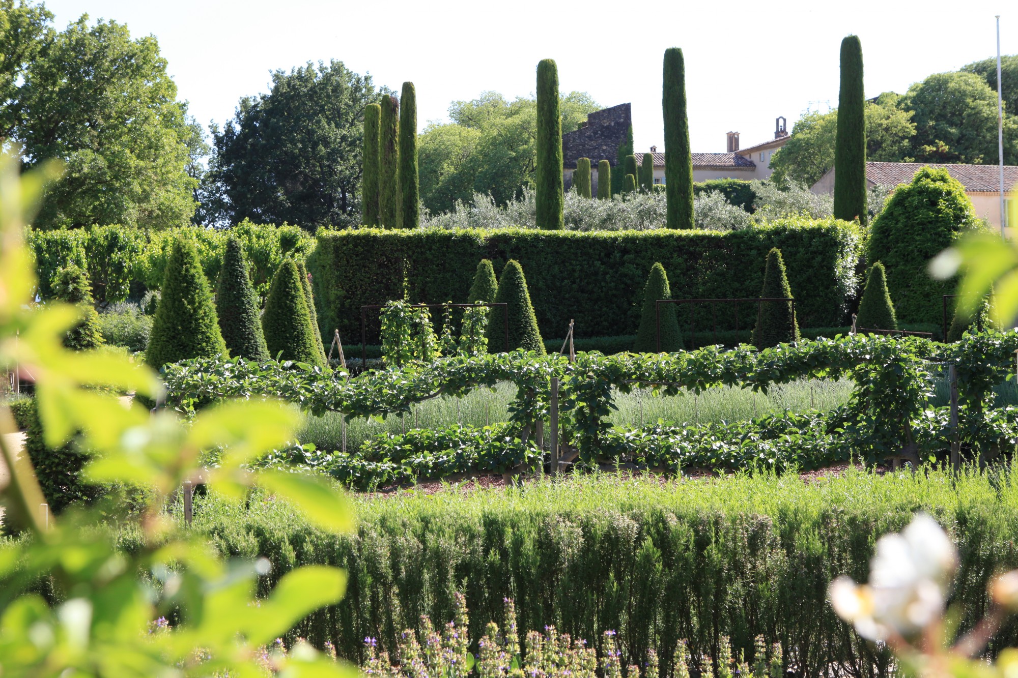 Plantations du jardin du Château de Val Joanis Provence