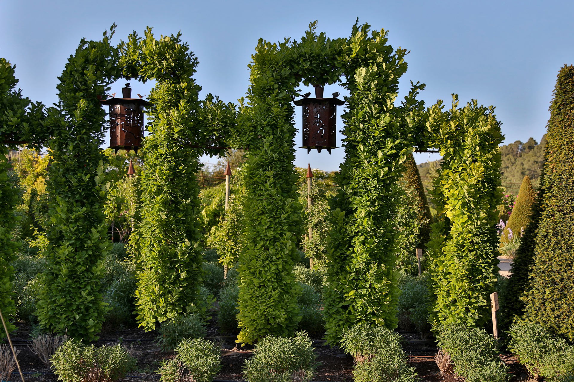 Vue des jardins du château de Val Joanis en Luberon