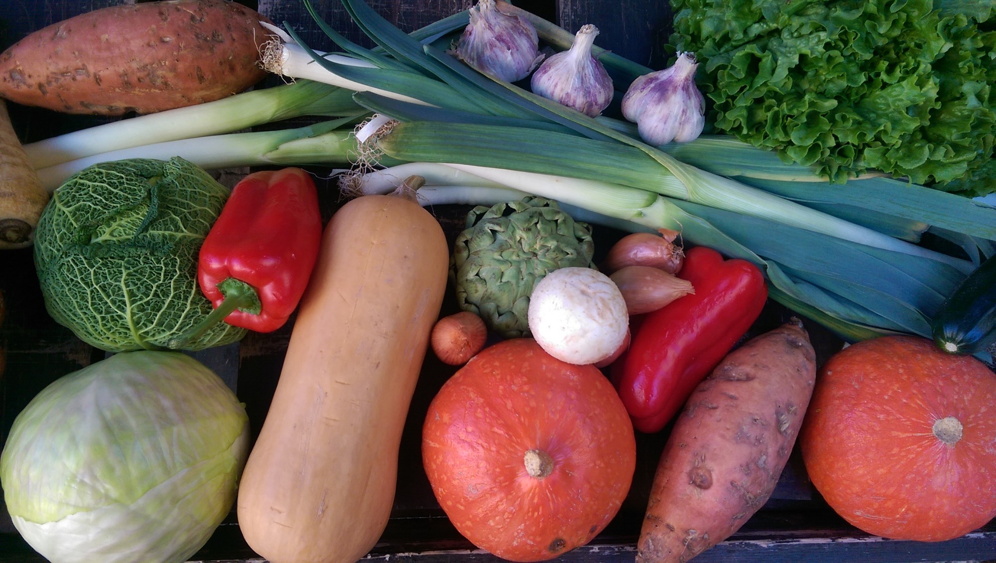 Légumes d'hivers du Luberon et de Provence