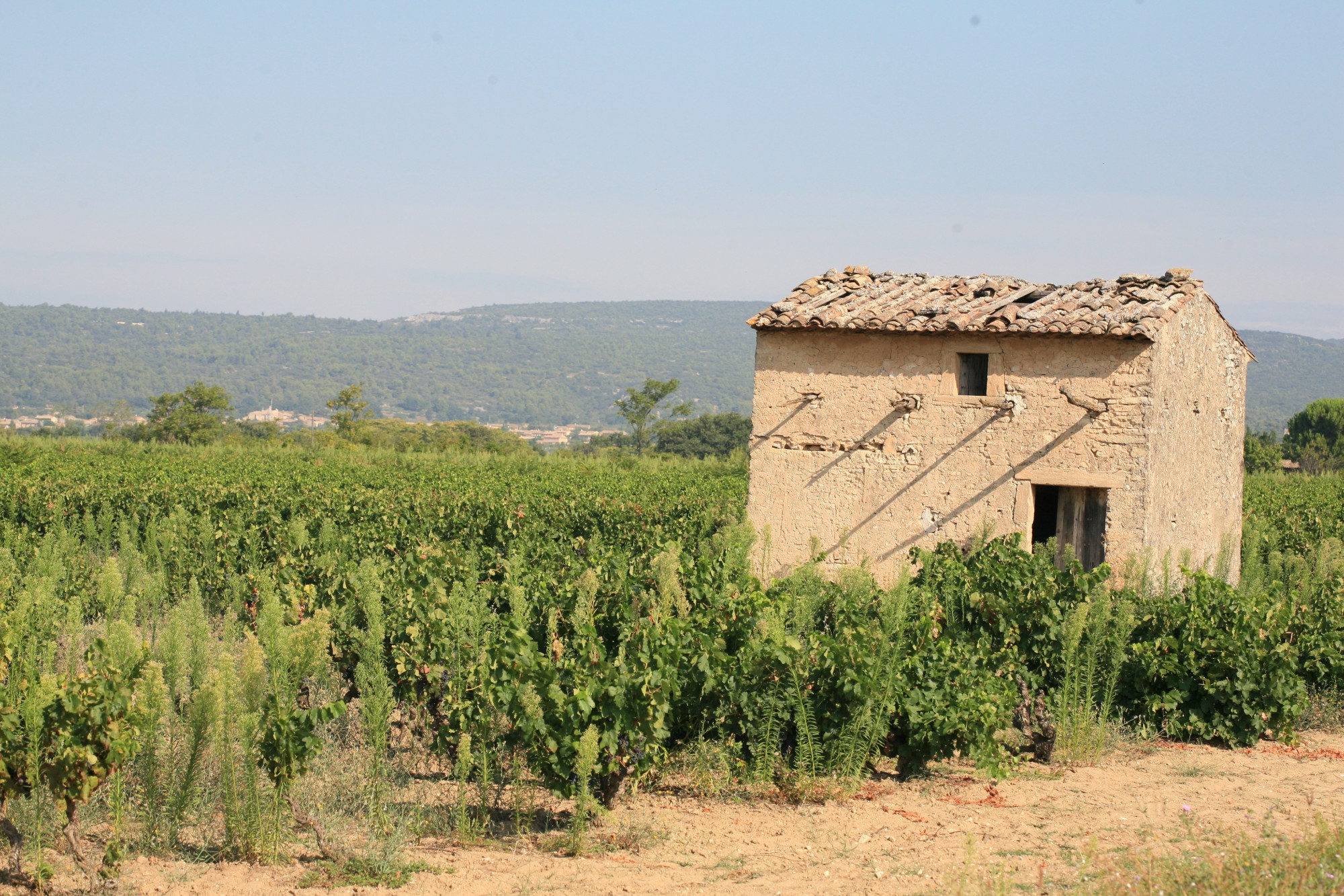 Cabanon en Luberon