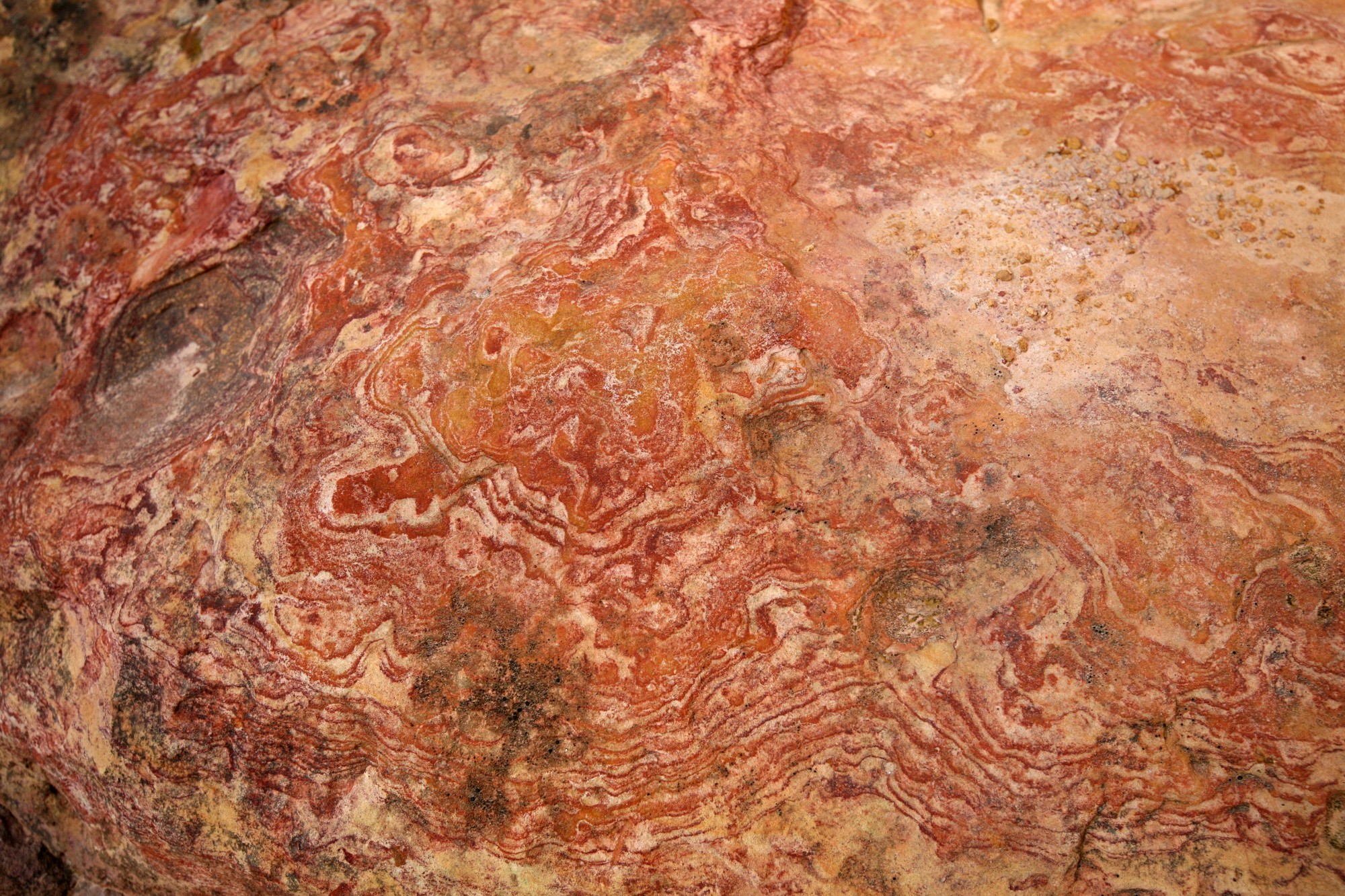Détail d'un dessin naturel ocré