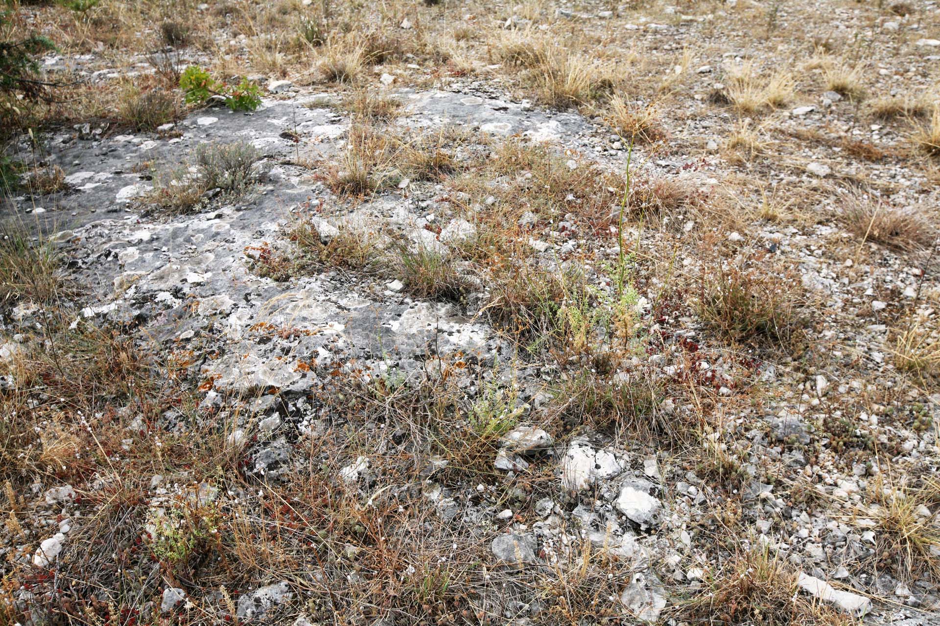La géologie diversifiée de Gordes : un voyage à travers les sols et l'histoire géologique de cette commune provençale