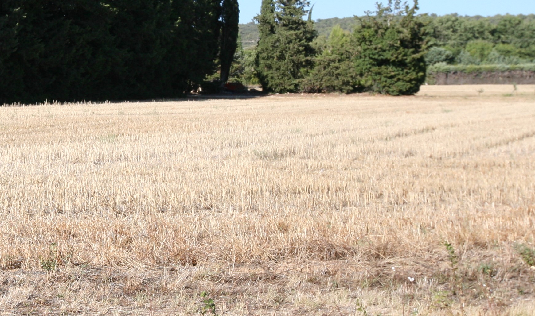 La géologie diversifiée de Gordes : un voyage à travers les sols et l'histoire géologique de cette commune provençale