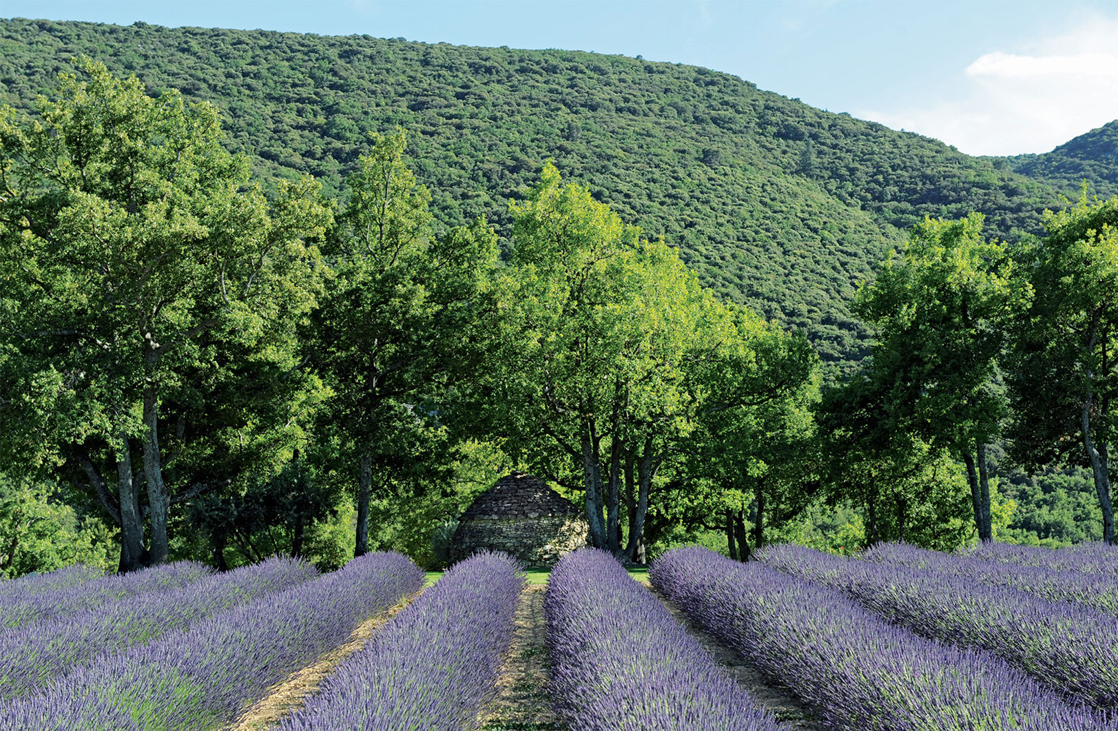 La Provence by Lifestyle