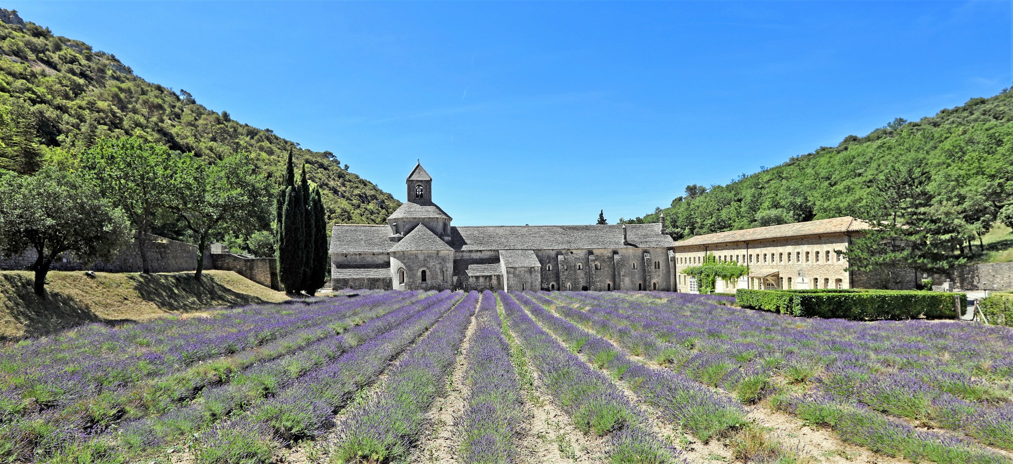 L'abbaye Cistercienne de SENANQUE à Gordes en Luberon