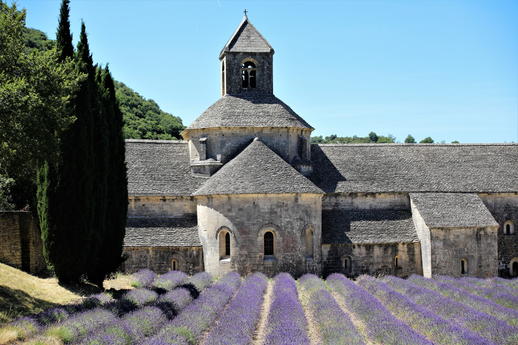 Sénanque et ses lavandes, à Gordes