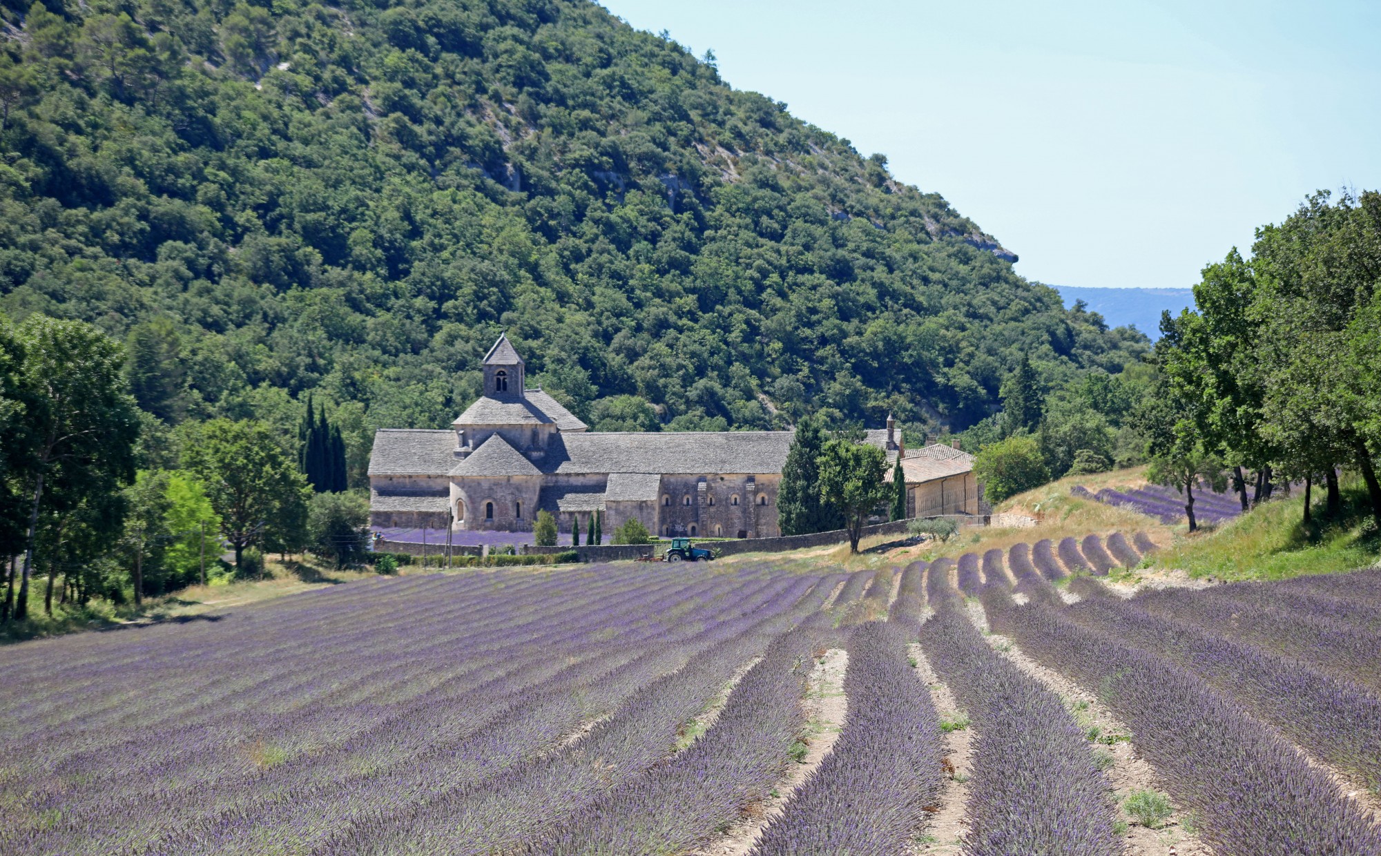 Notre-Dame de Sénanque, à Gordes en Luberon