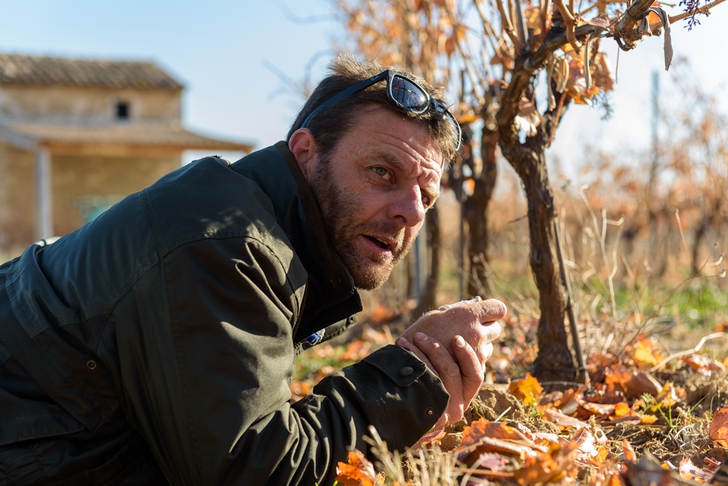 Le Domaine des Jeanne - Vin Rosé de qualité en Luberon