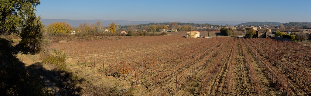 Le Domaine des Jeanne - Vin Rosé de qualité en Luberon