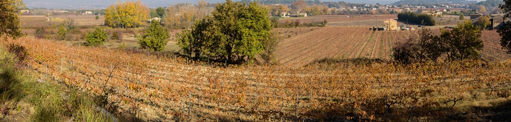 Le Domaine des Jeanne - Vin Rosé de qualité en Luberon