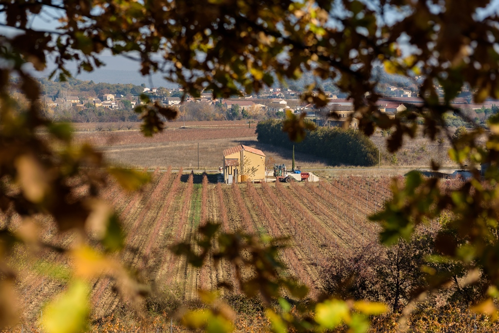 Le Domaine des Jeanne - Vin Rosé de qualité en Luberon