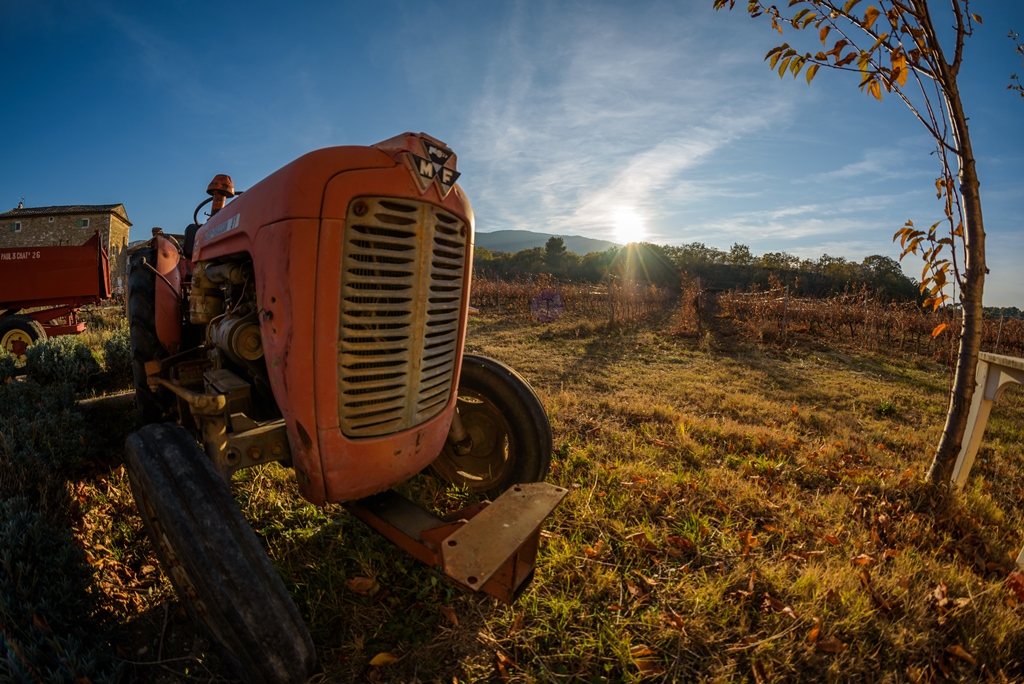 Le Domaine des Jeanne - Vin Rosé de qualité en Luberon