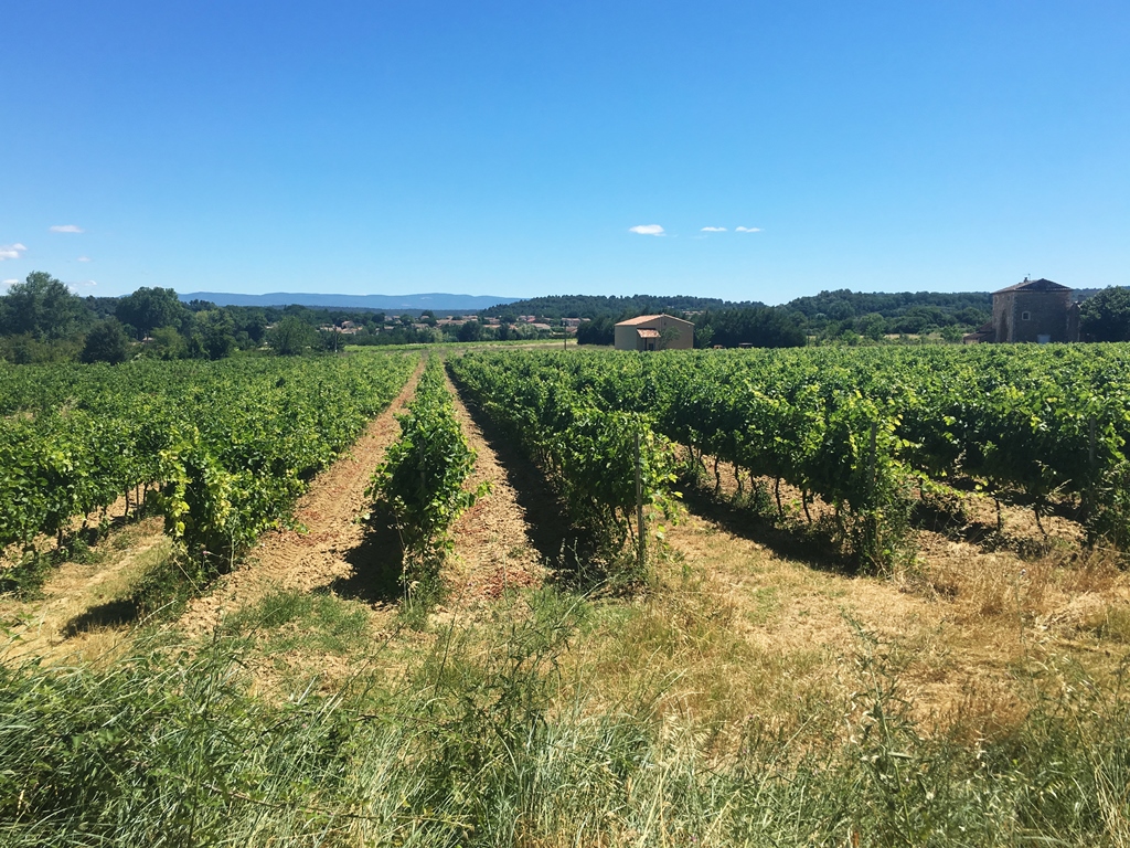 Le Domaine des Jeanne - Vin Rosé de qualité en Luberon