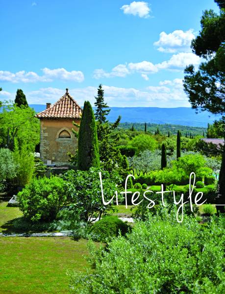 Les lavandes, les vignes, les chênes, les pins et les cyprès, les jolis villages, les belles maisons en pierres.