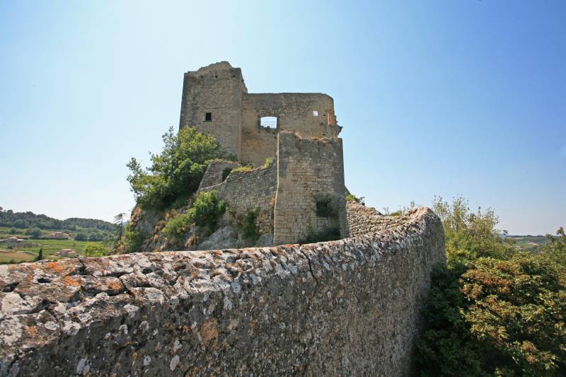 Chateau Vaison la Romaine