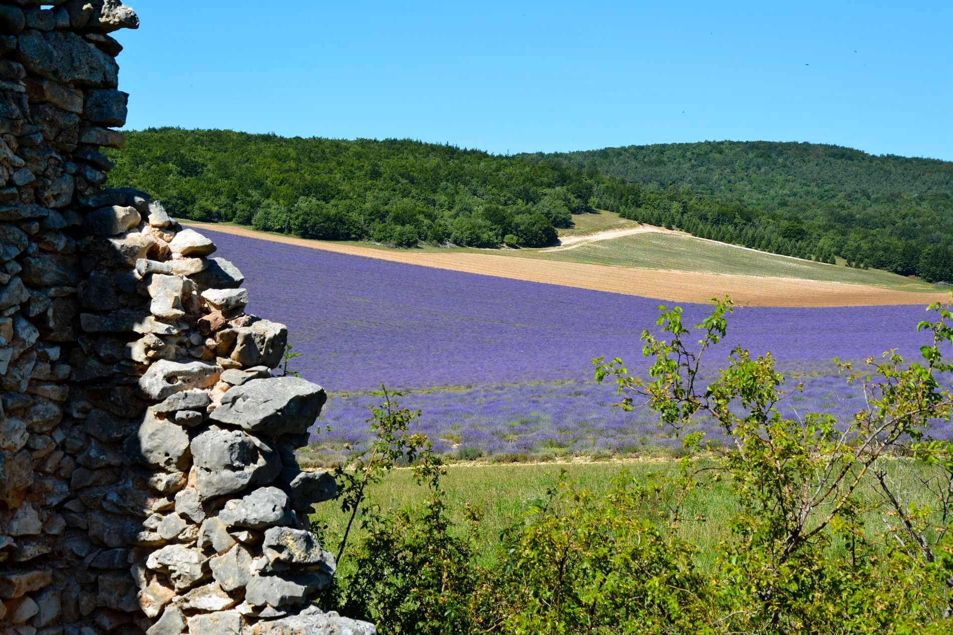 LIFESTYLE BY ROSIER 2015 Magazine immobilier de prestige en Provence