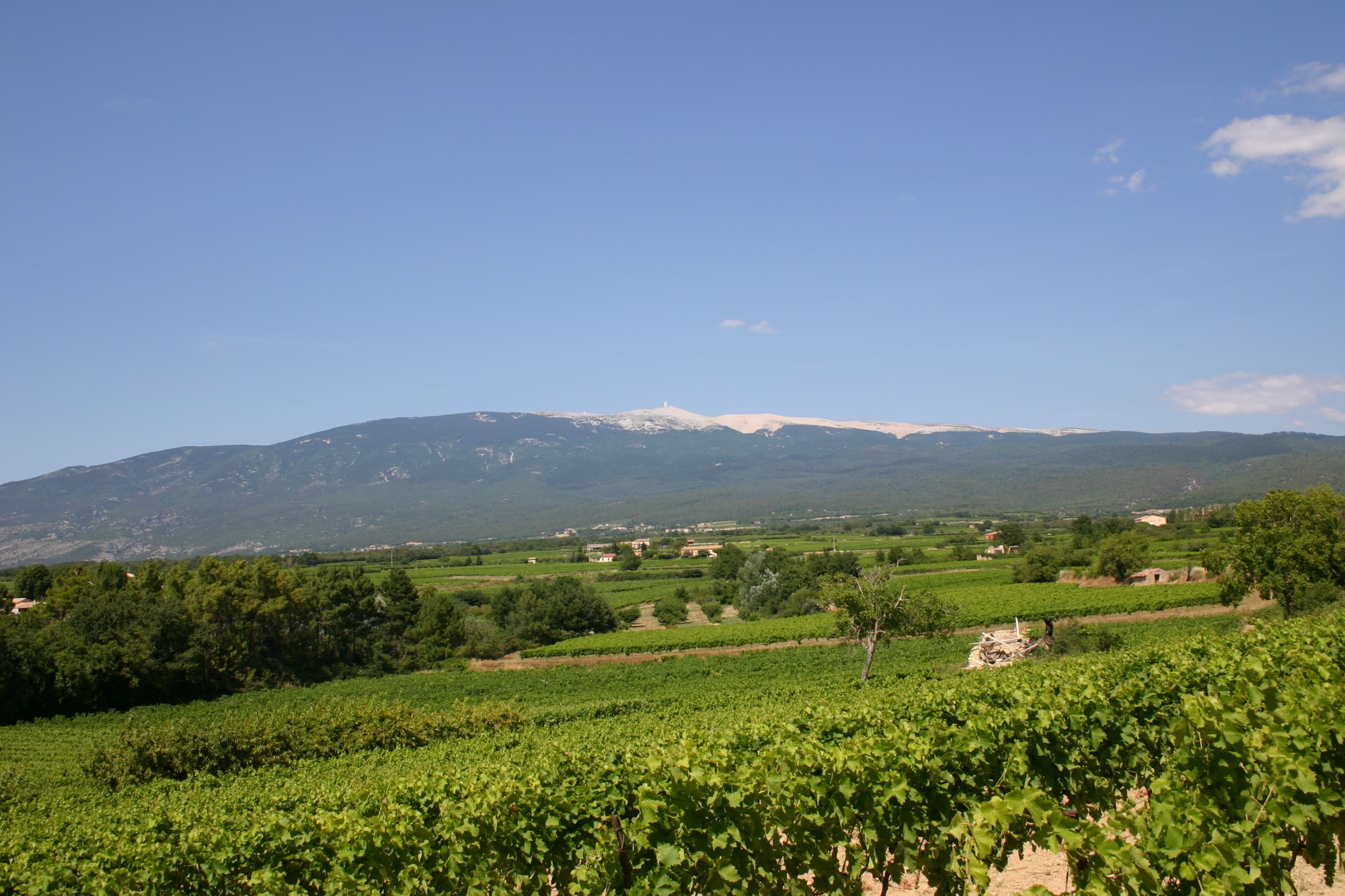 Le mont ventoux par Rosier