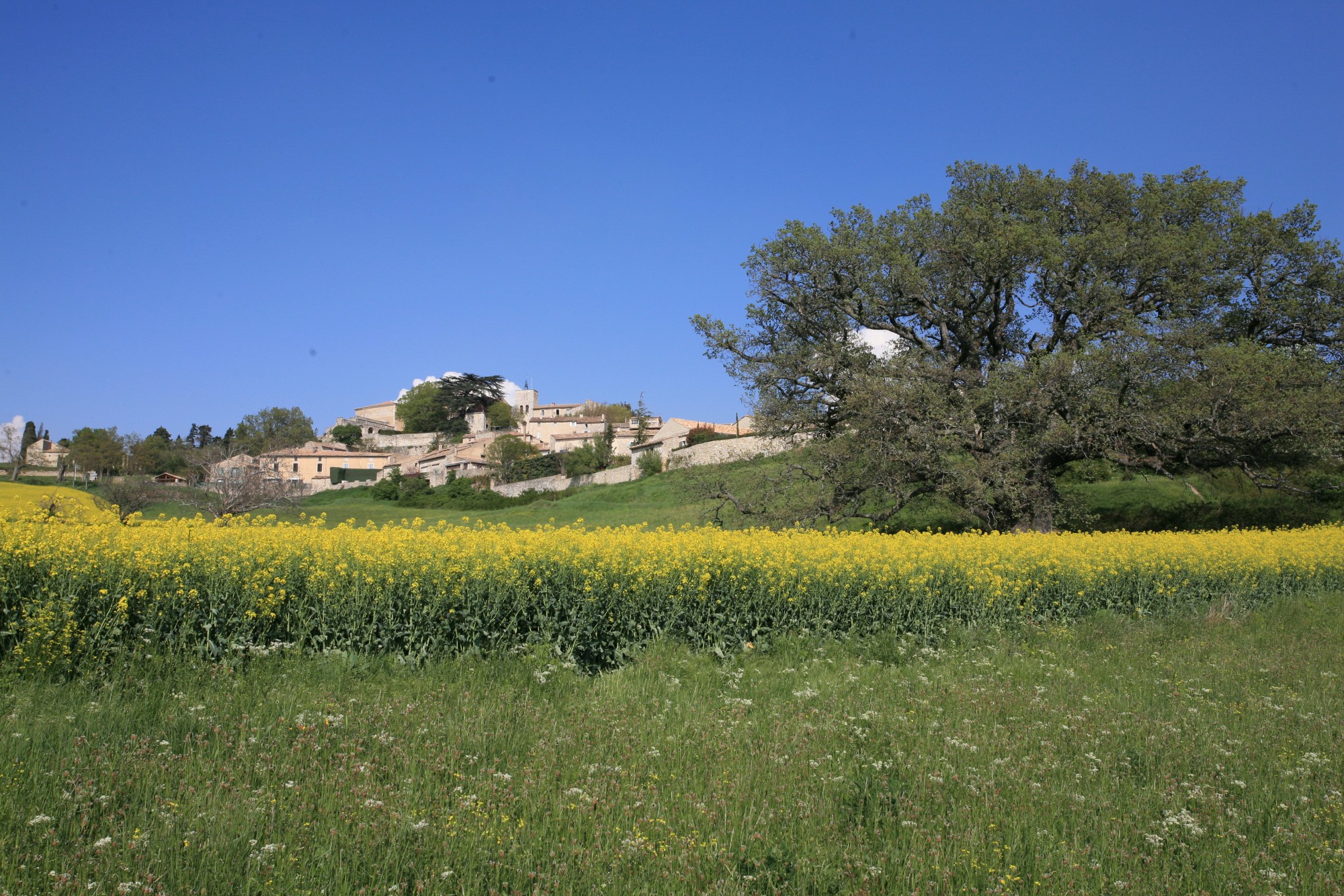 Murs en Luberon