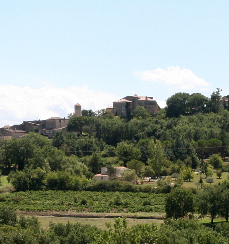 Le chateau de Goult, vue générale du nord