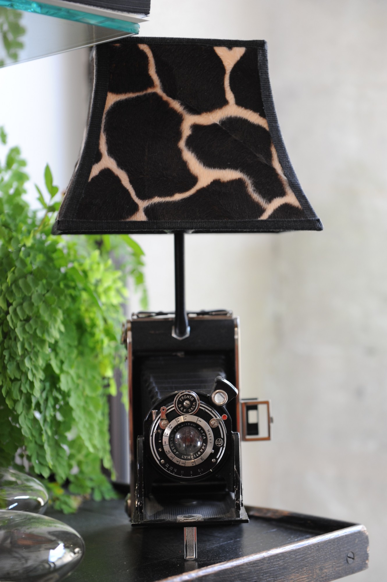 Lampes originales, pièces uniques vieil appareil photo