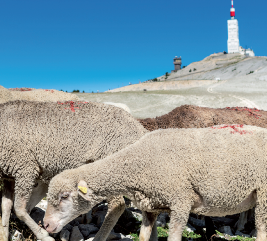 Le Mont Ventoux, le 