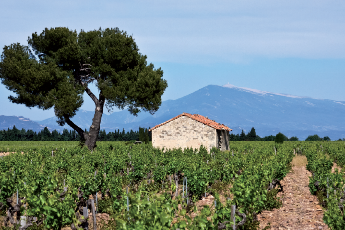 Le Mont Ventoux, le 