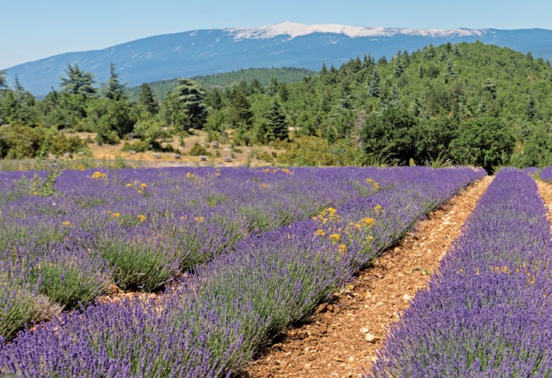 Le Mont Ventoux, le 