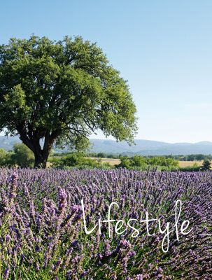 Notre zone d'activité pour ce service Découvrir le Luberon pour investir dans l'immobilier