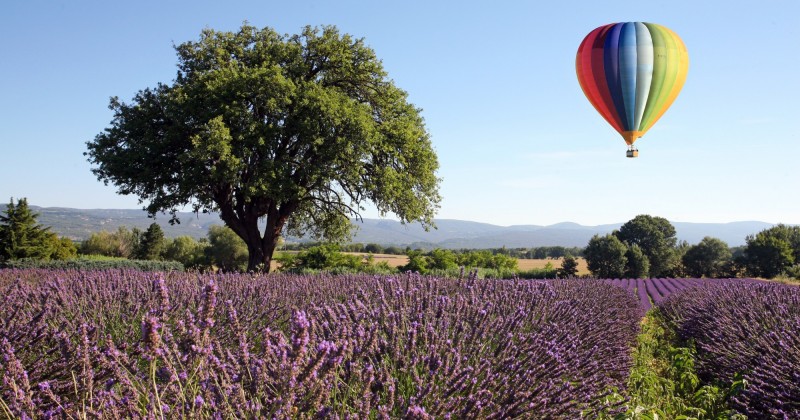 Nos prestations sur le secteur de à Pertuis dans le Vaucluse
