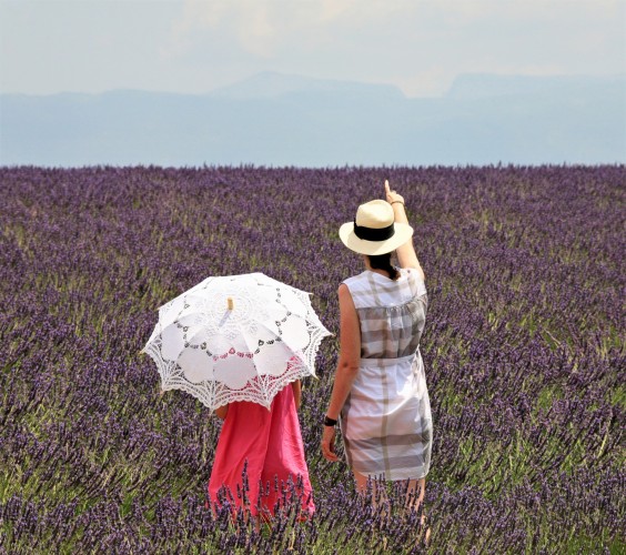 Notre zone d'activité pour ce service Découvrir le Luberon pour investir dans l'immobilier